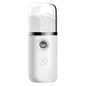 Household Handheld Face Care Beauty Spray Device