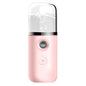 Household Handheld Face Care Beauty Spray Device