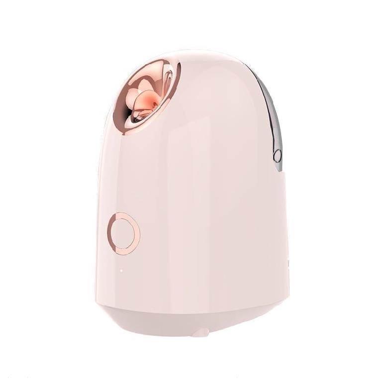 Beauty Steamer 