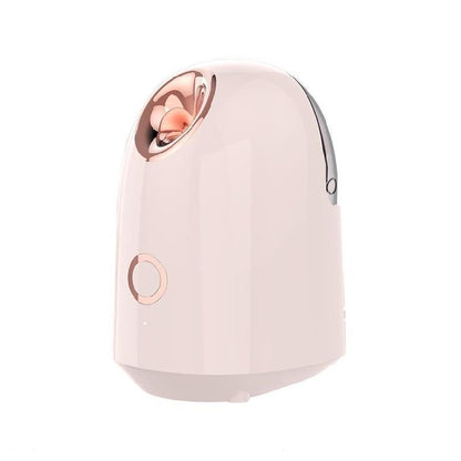 Beauty Steamer 